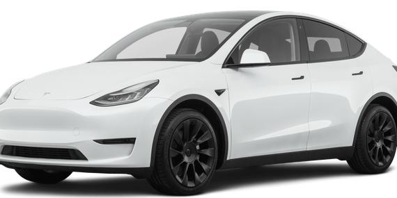 TESLA MODEL Y 2021 5YJYGDEE7MF191238 image